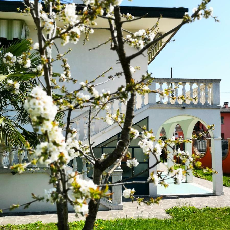 Casa Del Vigneto - New Near Venice - Rooms+Bathroom - Independent 斯皮内亚 外观 照片