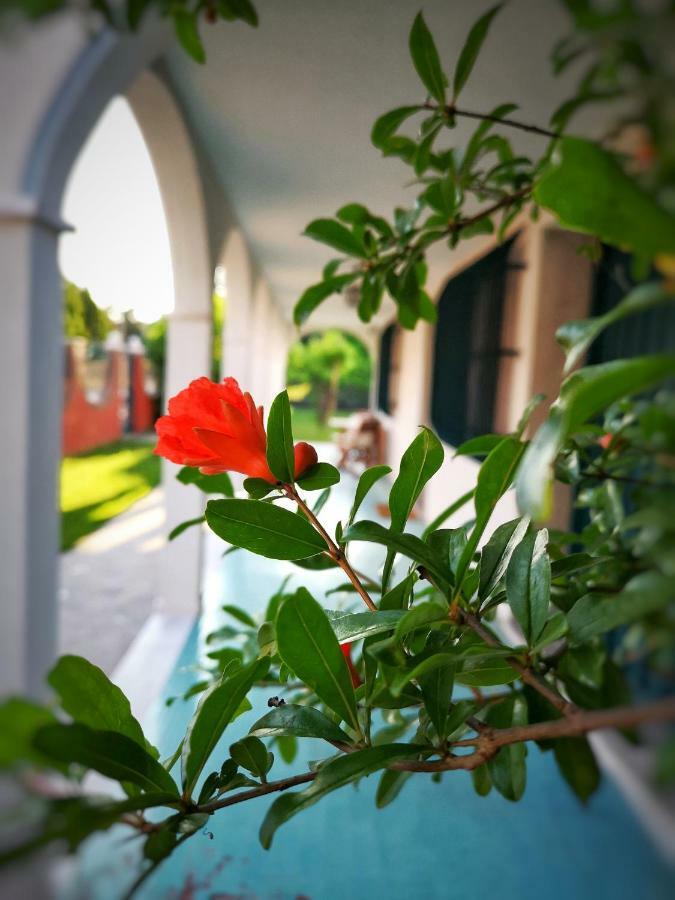 Casa Del Vigneto - New Near Venice - Rooms+Bathroom - Independent 斯皮内亚 外观 照片