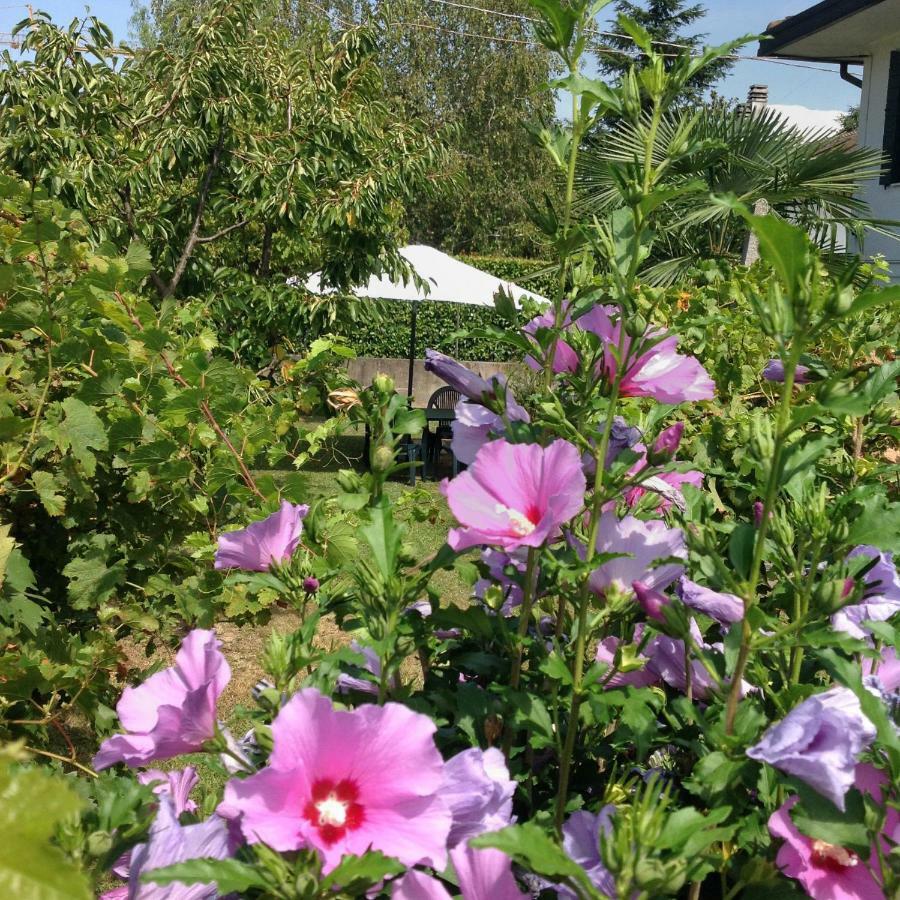 Casa Del Vigneto - New Near Venice - Rooms+Bathroom - Independent 斯皮内亚 外观 照片